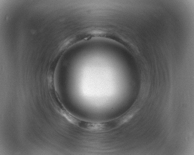 X0000082940288200702011314