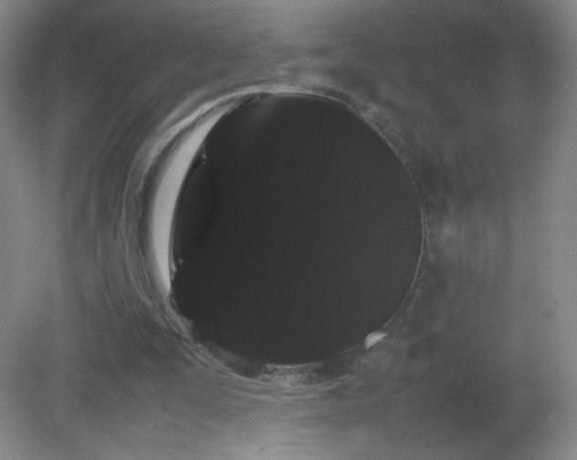 X0000082940295200702011313