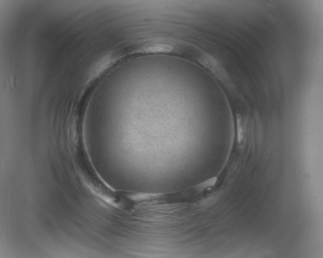 X0000082940300200702011313