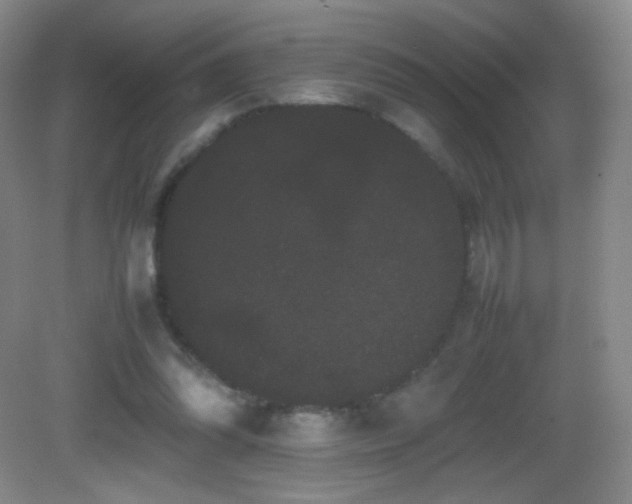 X0000082940302200702011313