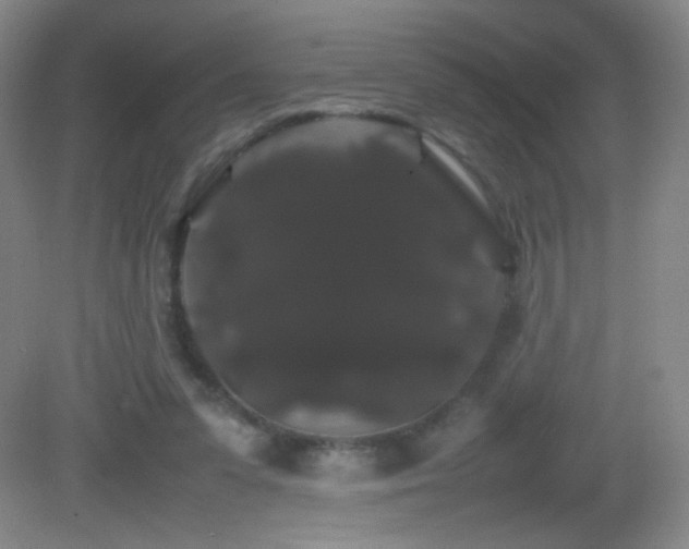X0000082940303200702011313