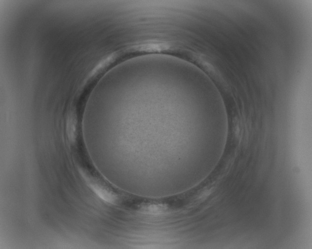 X0000082940304200702011312