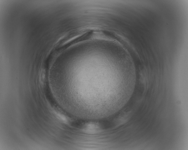 X0000082940308200702011312