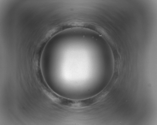 X0000082940309200702011312