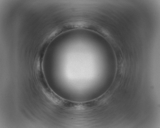 X0000082940310200702011312