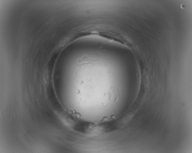 X0000082940311200702011312
