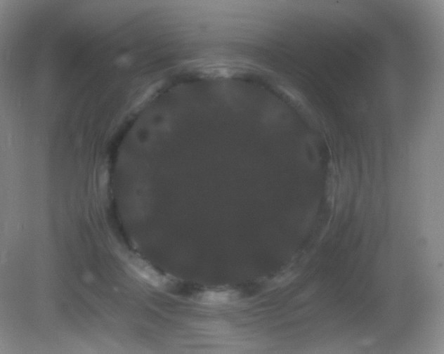 X0000082940314200702011312