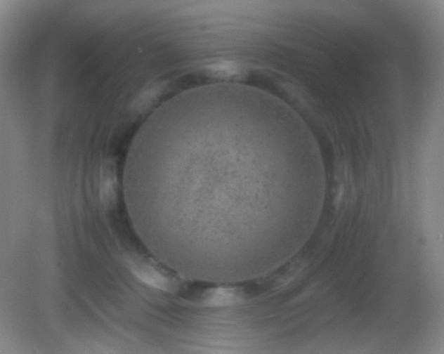 X0000082940320200702011312