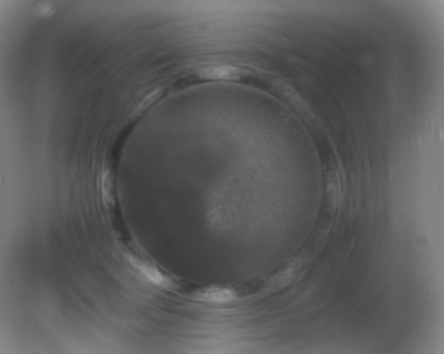 X0000082940322200702011312