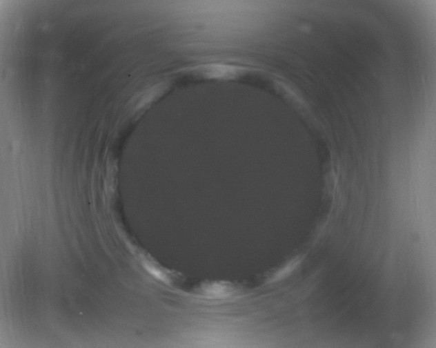 X0000082940325200702011312