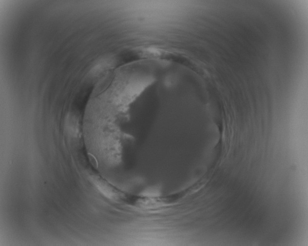 X0000082940331200702011312