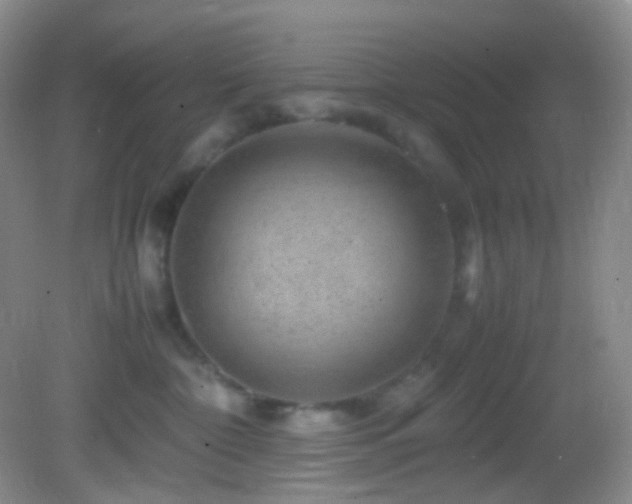 X0000082940332200702011312