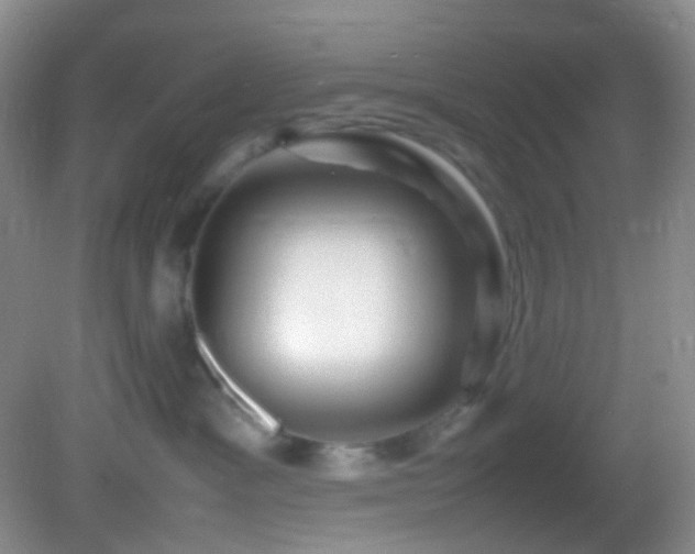 X0000082940333200702011312