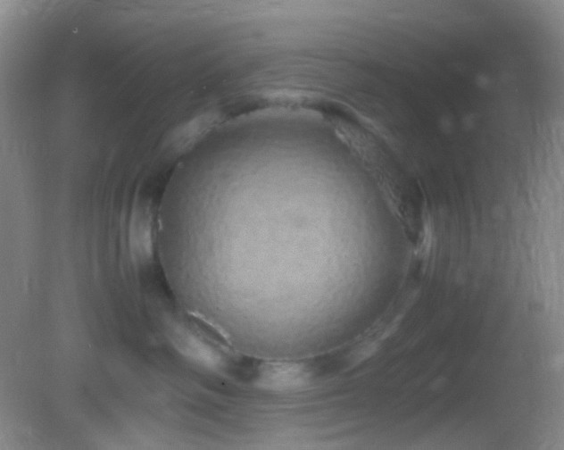 X0000082940334200702011312