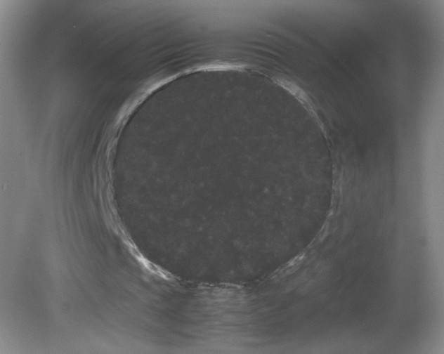 X0000082940337200702011311