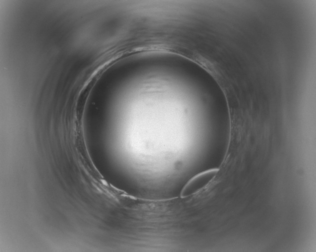 X0000082940338200702011311