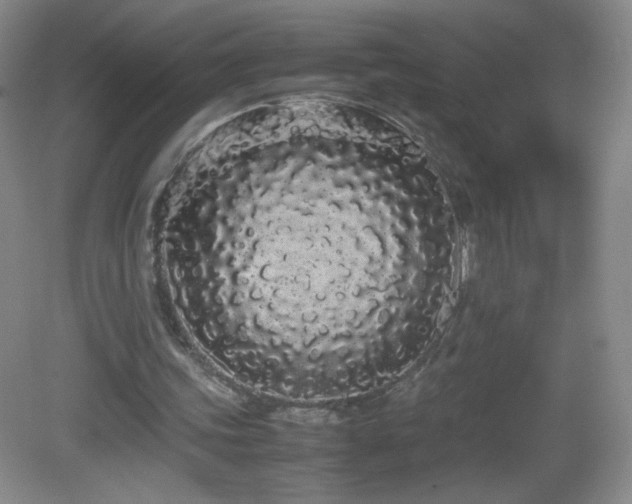 X0000082940339200702011311