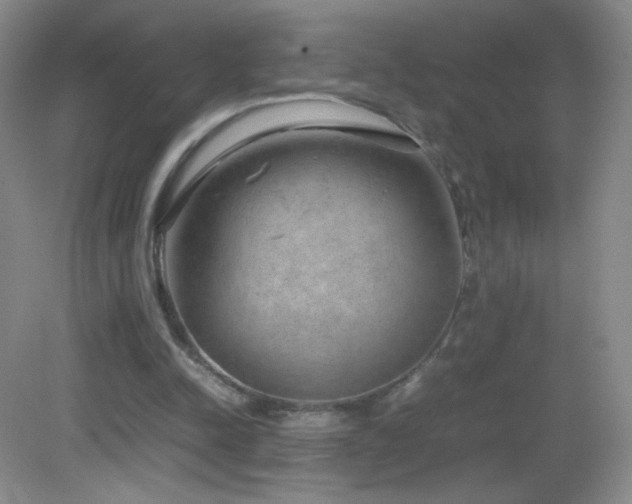 X0000082940342200702011311