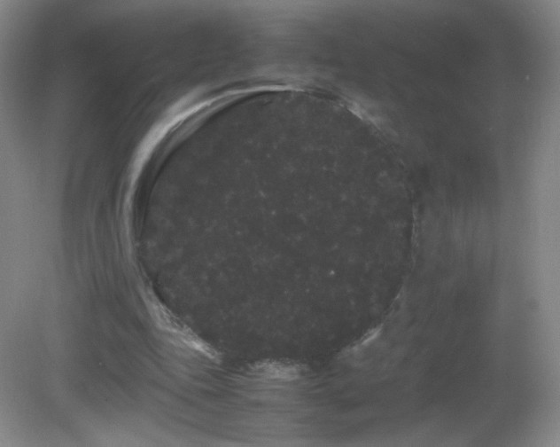 X0000082940343200702011311