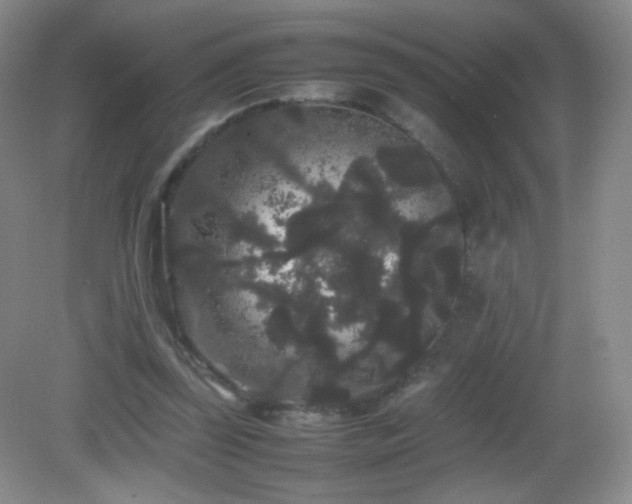 X0000082940347200702011311