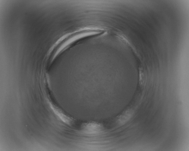 X0000082940348200702011311