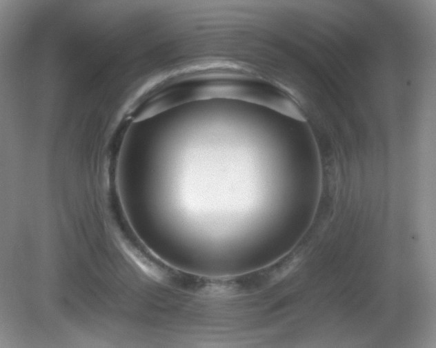 X0000082940350200702011311