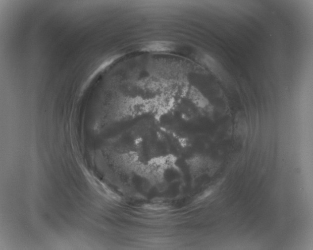 X0000082940351200702011311