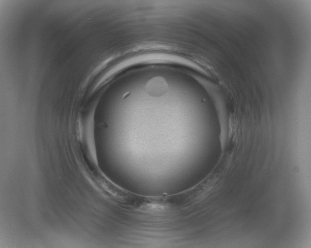 X0000082940352200702011311
