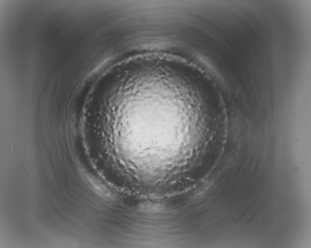 X0000082940354200702011311