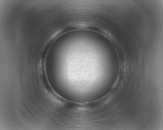 X0000082940360200702011312