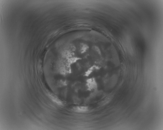 X0000082940361200702011312