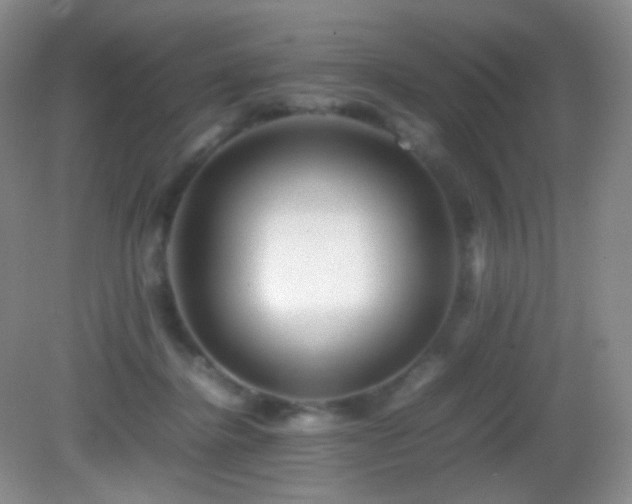 X0000082940364200702011312