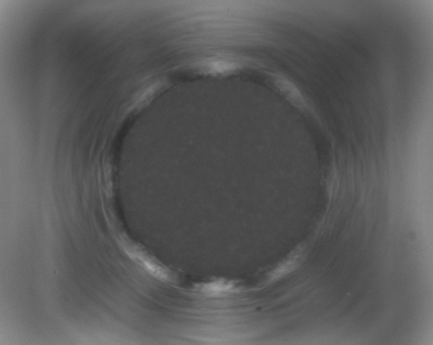 X0000082940366200702011312