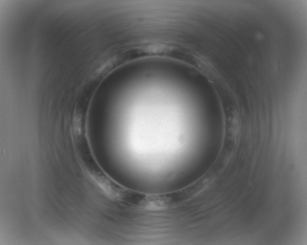 X0000082940368200702011312