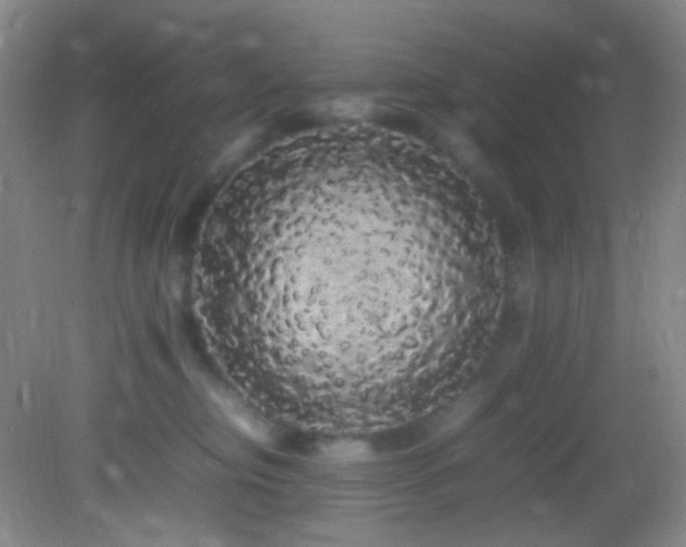 X0000082940374200702011312