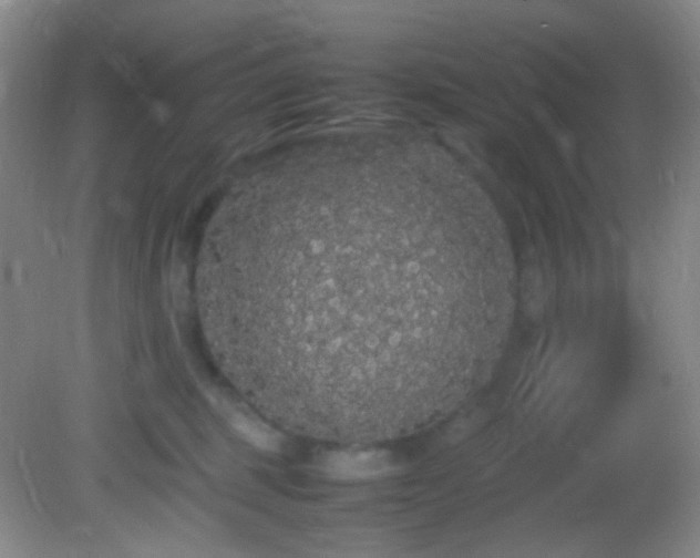 X0000082940375200702011312
