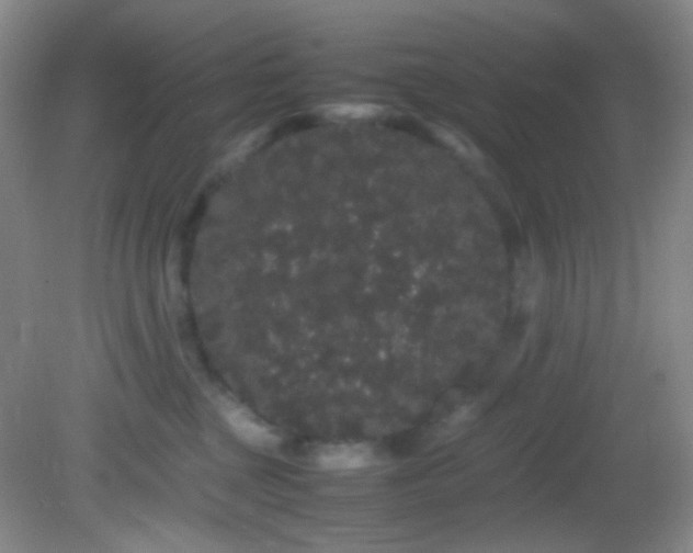 X0000082940377200702011312
