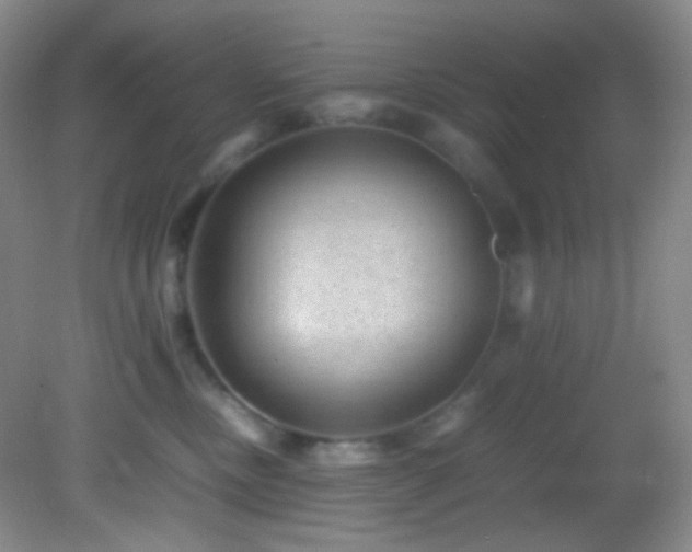 X0000082940378200702011312