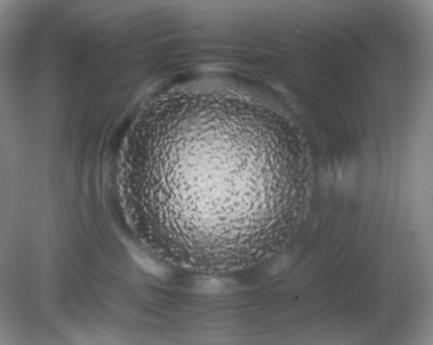 X0000082940379200702011312