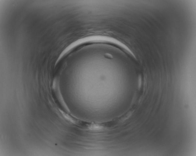 X0000082940380200702011312
