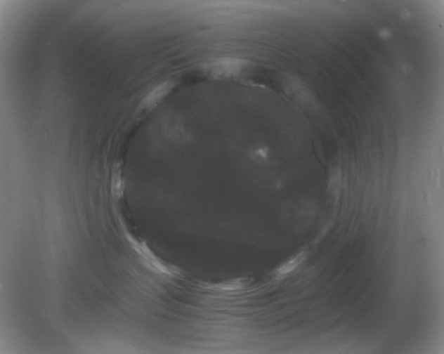 X0000082940383200702011312