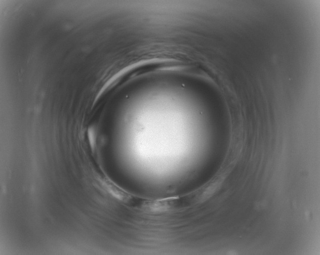 X0000082940384200702011312