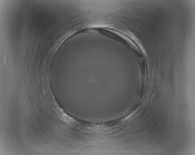 X0000082940385200702011311
