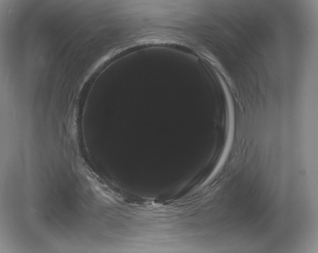 X0000082940387200702011311