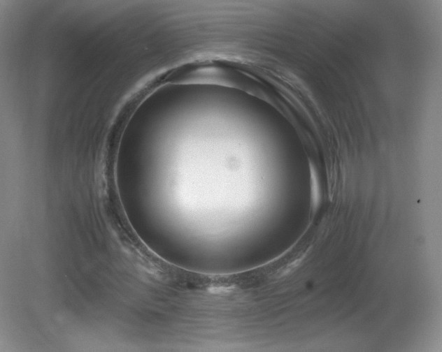 X0000082940388200702011311