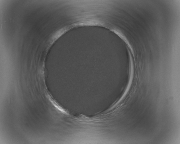 X0000082940389200702011311