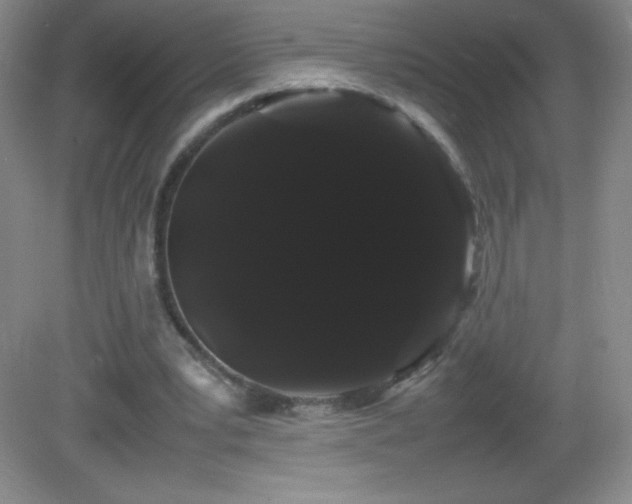 X0000082940391200702011311