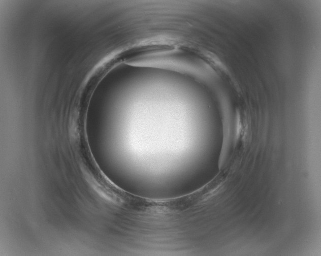 X0000082940392200702011311