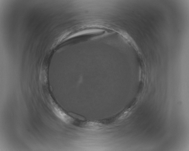 X0000082940393200702011311