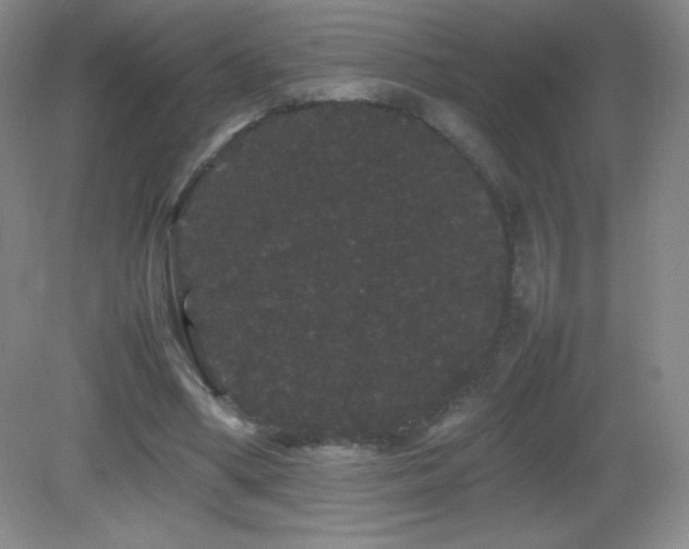 X0000082940394200702011311
